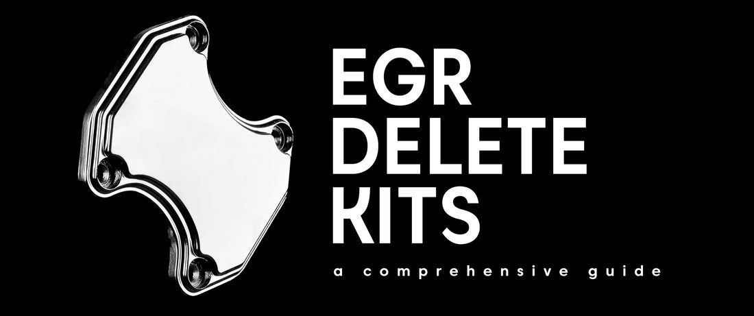 EGR delete kits header image