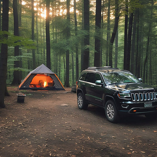 Diesel Performance Parts Tuners & DPF Delete Kits